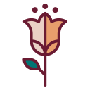 tulipán icon