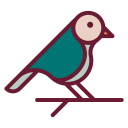 pájaro icon