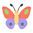 mariposa