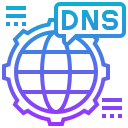 dns