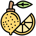 limón icon