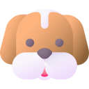 chien 