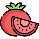 tomate icon