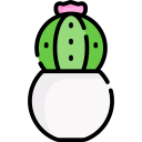 cactus icon