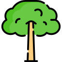 Árbol icon