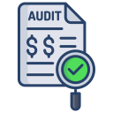 auditoría icon