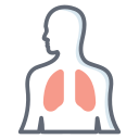 sistema respiratorio 