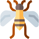 abeja 