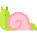 caracol