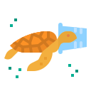 tortuga icon