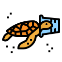 tortuga icon