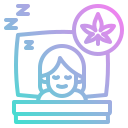 dormido icon