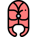 pescado icon