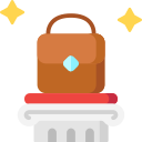 bolso icon