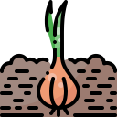 cebolla icon