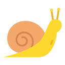 caracol