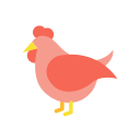 pollo