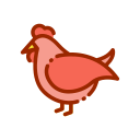 pollo