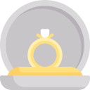 anillo icon