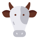 vaca 