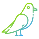 pájaro icon