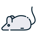 ratón 