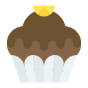 Cupcake icon
