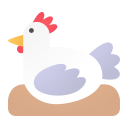 pollo icon