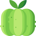 calabaza icon