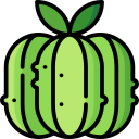 calabaza icon