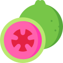 guayaba icon