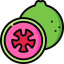 guayaba icon