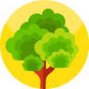 Árbol icon