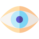 ojo icon