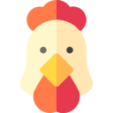 pollo 