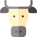 vaca