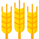 trigo icon