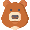 oso icon