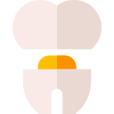 implante dental icon