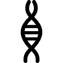 chaîne chromosomique icon