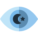 observación icon