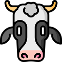 vaca icon