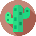 cactus icon