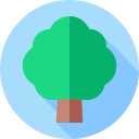 Árbol icon