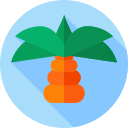 palmera icon