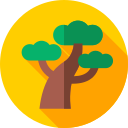 bonsai icon