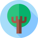 Árbol icon