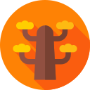 secoya icon