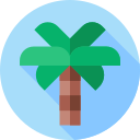 palmera icon