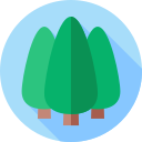 abeto icon